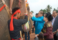 elephant-festival-2013