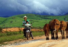 cowgirl beef laos